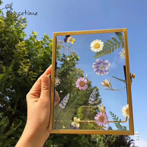 peacetime ins air-dried flower glass metal photo frame creative retro three-dimensional diy plant specimen photo frame