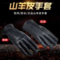 Regular wear leather gloves goatskin gloves plus velvet mens thickened velvet leather gloves