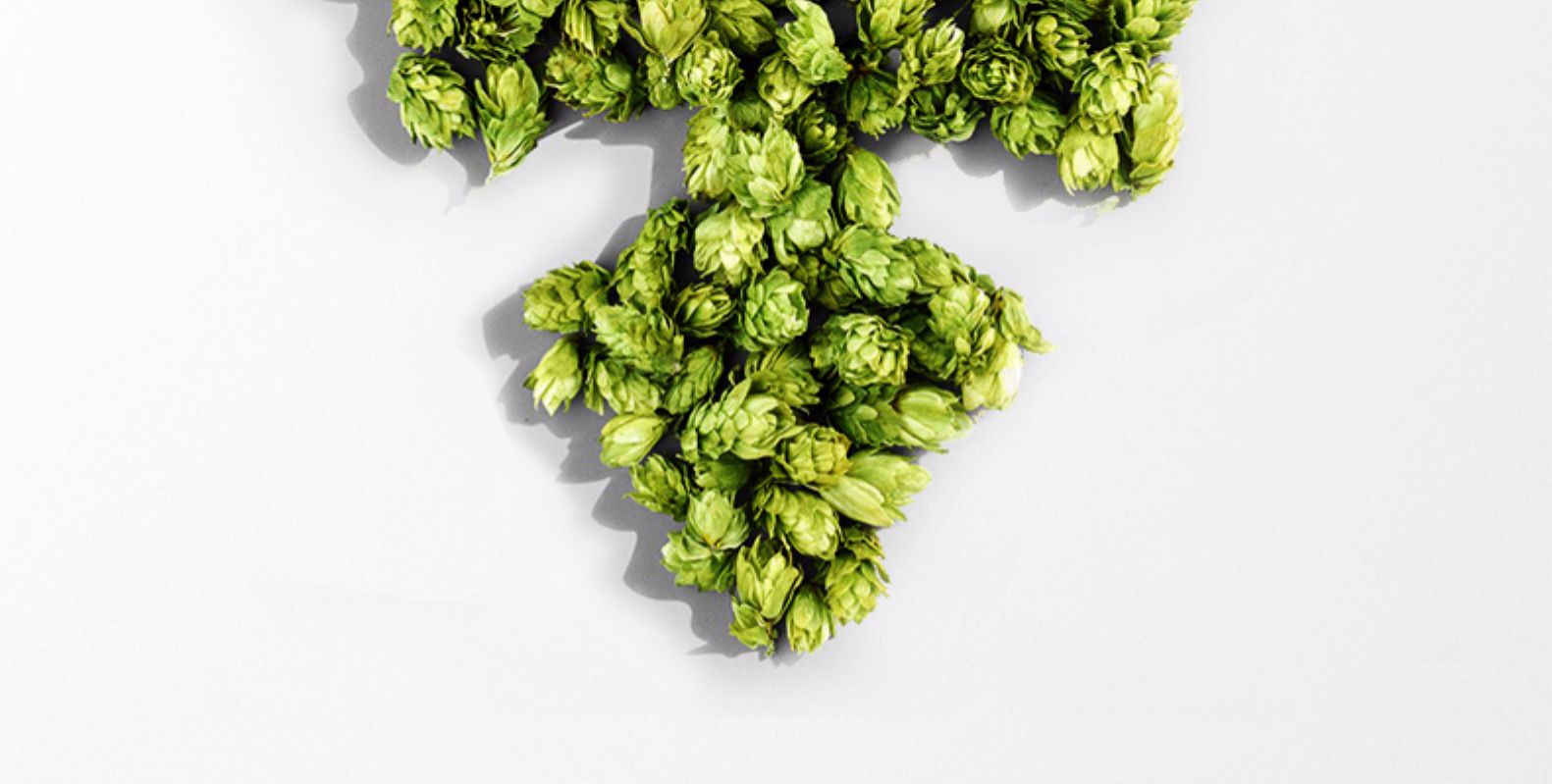 嘉士伯 Carlsberg 特醇啤酒500ml*18罐 图3