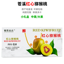 Sichuan Guangyuan Cangxi red heart kiwi fresh fruit kiwi fruit large fruit seasonal fruit high-end gift box