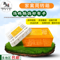 Plastic chicken cage transport chicken cage chicken box turnover into a chicken box Duck cage pigeon cage Duck box goose box Household transport cage