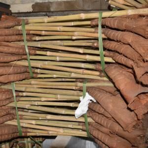 Bamboo branches sweepers with palm sweeping mud dustpan baskets cotton yarn head mop plastic sweep to keep the one word drag pao clothing-Taobao