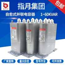 Finger moon self-healing shunt power capacitor BZMJ BCMJ BSMJ0 4 0 45-30-3 20-3