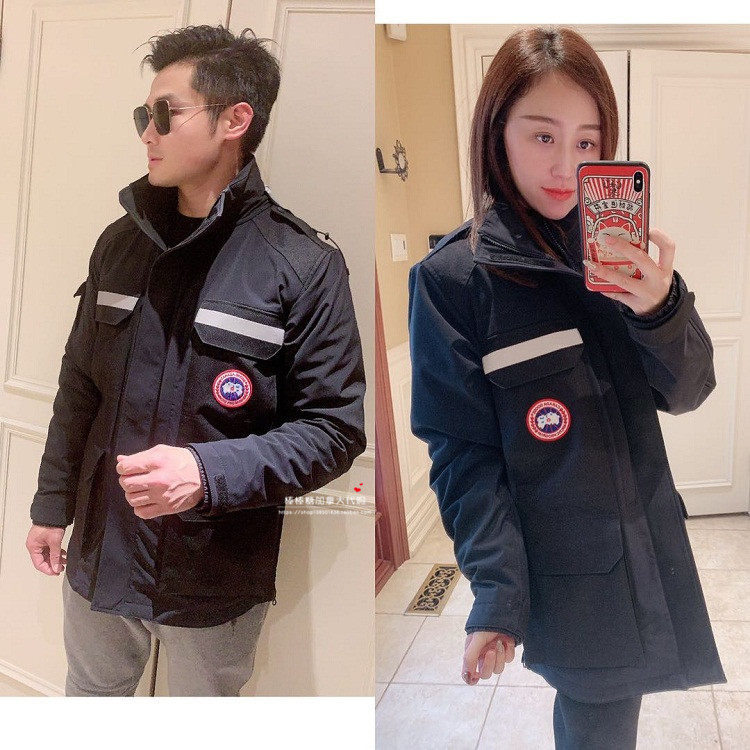 canada goose photojournalist