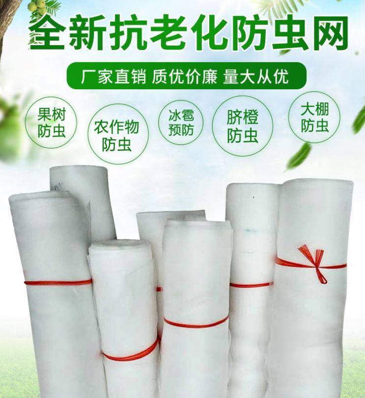 Flower garden fruit tree anti-fly fruit flower pot anti-insect net Yangmei 20-mesh strawberry walled mesh web cover type of vegetable loach net