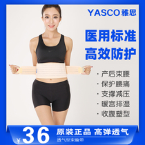 Yath 945 collection of bellies with male and female universal office workers waist seal postnatal moms plastic body plastic bellies