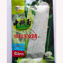 Zhongke Jade 928 white sweet waxy 2000 sweet waxy white corn seed seeds high yield disease resistance spring and autumn sowing white corn