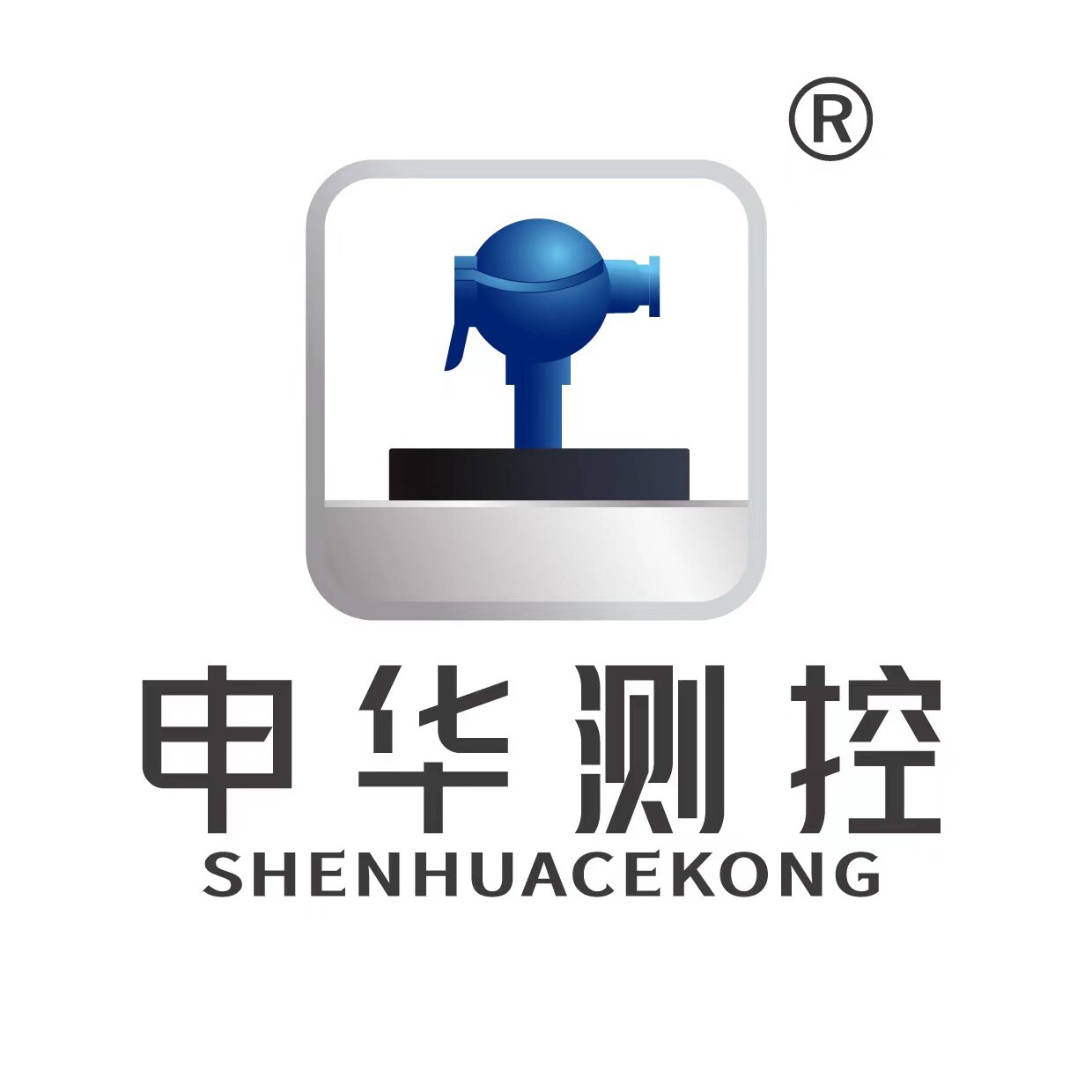 安徽申华仪表厂的LOGO