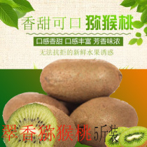 2021 fresh farmhouse seasonal season Cuiyuan kiwi fruit Shaanxi Zhou to 5kg fresh pick fresh hair