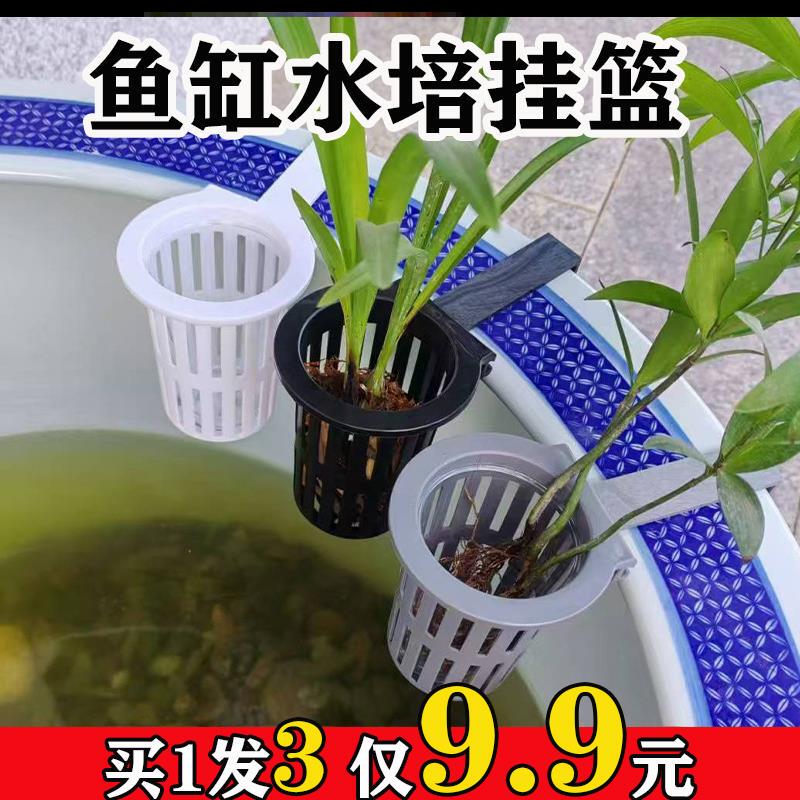 Fish Tank Hydroponic Hanging Basket Fixed Aquatic Fish Farming Copper Coin Round Artifact Plant Household Aquatic Plant Planting Type Water Straightening Fish Tank Hydroponic Hanging Basket Fixed Aquatic Fish Farming Copper Coin Round Artifact Plant Household Aquatic Plant Planting Type Water Straightening