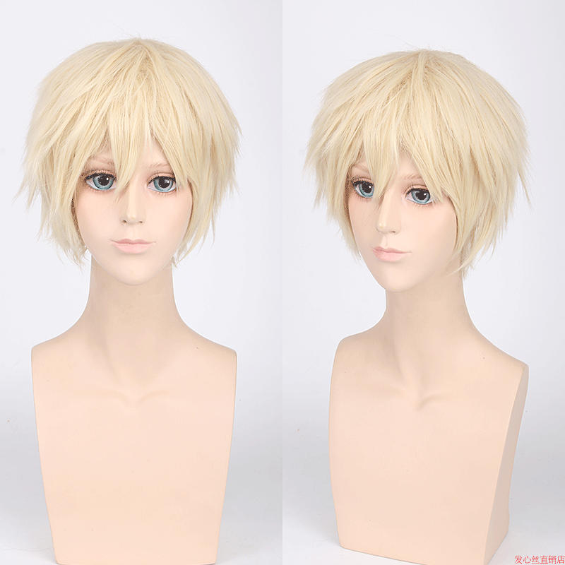 Perruque OTHER cheveux courts - Ref 2610466 Image 17