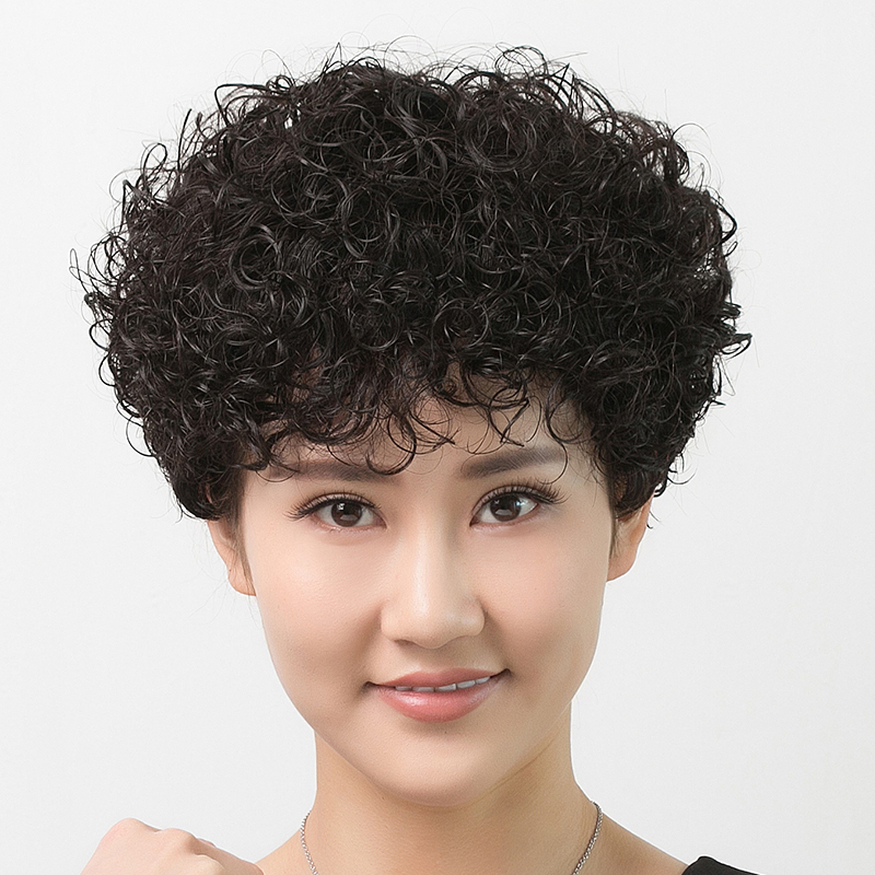 Wool Curly Wig for Women, Full Headgear, Real Hair, Fully Hand-Woven, Light and Breathable, Short Curly Hair for Middle-Aged and Elderly Mothers, Real Hair Wool Curly Wig for Women, Full Headgear, Real Hair, Fully Hand-Woven, Light and Breathable, Short Curly Hair for Middle-Aged and Elderly Mothers, Real Hair
