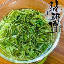 Newly launched in 2024 Anji White Tea Master Luo Anji White Tea Zhejiang Anji White Tea Green Tea Anji White Tea