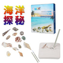 Archaeological Excavation Shell Archaeology World Marine Exploration Pino Archaeological Toys Excavation Marine Shell Pearl Archaeology