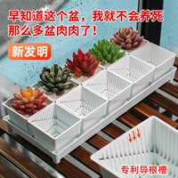 Маленький белый цветочный горшок, изысканный пластиковый комплект