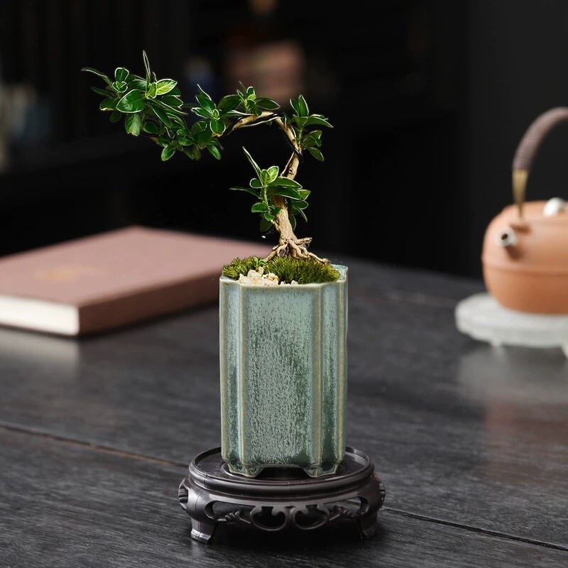 Ceramic Flower Pot, Celadon Glaze, Mini Small High Pot, Succulent Plant Pot, Square Sign-Shaped Pot, Cliff Bonsai Pot Ceramic Flower Pot, Celadon Glaze, Mini Small High Pot, Succulent Plant Pot, Square Sign-Shaped Pot, Cliff Bonsai Pot
