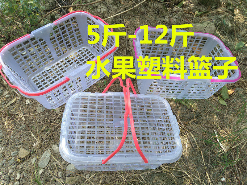 5 catty 6 catty 8 catty 10 catty 12 catty poplar plum basket strawberry loquat basket Chestnut without fig golden orange basket