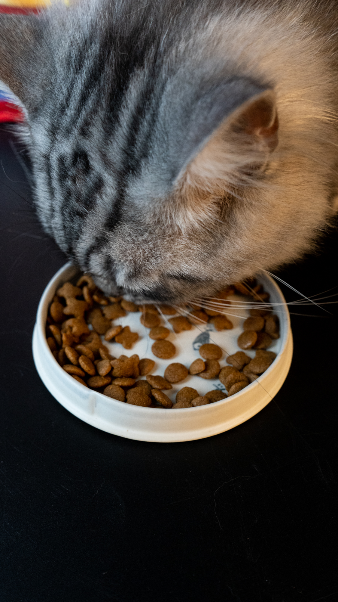 新品—海鱼鸡肉双重鲜美,佳乐滋银勺猫粮
