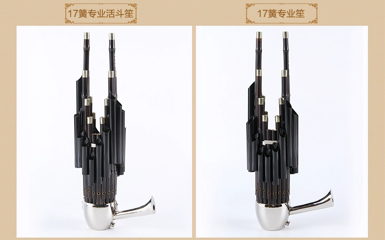 Nhạc cụ của Wang 21 bộ chuyên nghiệp mùa xuân bamboo cây tre tím mịn level cấp độ chơi - Nhạc cụ dân tộc mua đàn tỳ bà
