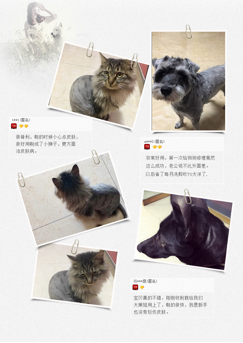 Thú cưng cắt tóc chó cạo râu đẩy chó cắt lông Teddy công cụ cắt mèo bit làm đẹp 200 - Cat / Dog Beauty & Cleaning Supplies Con lăn tĩnh điện ChomChom Roller.