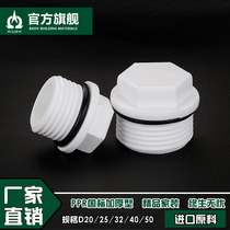 Thickened 4-point PPR outer wire plug 20 25 32 PPR external tooth plug water pipe PPR water pipe fittings accessories