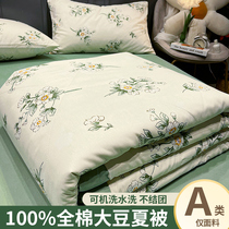 Summer pure cotton summer cool quilt set of three or four pieces soy fiber thin quilt single double air-conditioned quilt machine washable