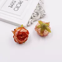 2 оранжевого цвета