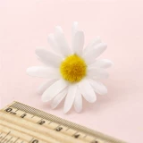 Хороший -маленький маленький ромаш