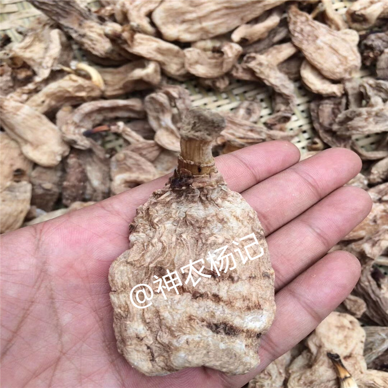 Shennongrack Alpine Special Class Wild Ugastrodia Elata Natural Winter Hemp Stew Soup Headache Can Be Sliced Powder 100g