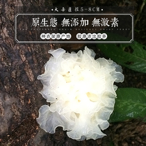 Shennongjia wild Basswood Silver Fungus dried Premium White Fungus Big Flower Snow Fungus 5-8cm 100g