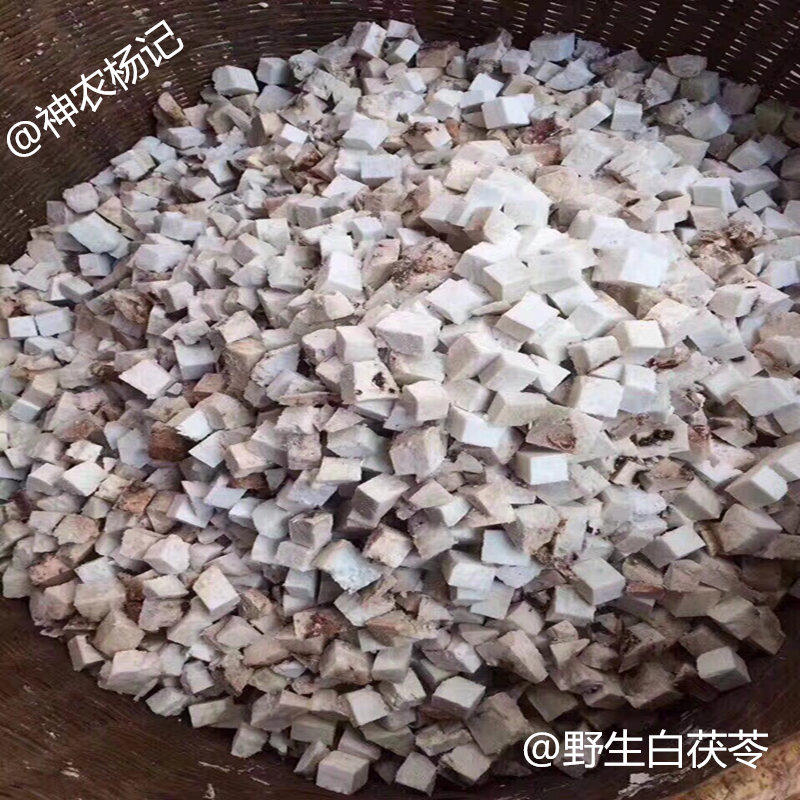 Shennong Yang Ji Shennongjia Alpine Pure Wild White Poria Cocos Selected All Dry Goods 500g