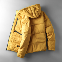 Foreign trade tail single male cut standard cattle goods outdoor tooling cotton clothes mens tide brand thickened Europe and the United States export original single jacket jacket