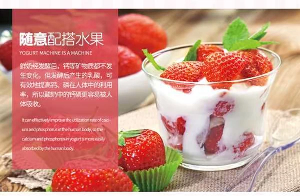 Máy làm sữa chua mini tự động tặng nhiệt độ không đổi bằng thép không gỉ bên trong cốc thủy tinh - Sản xuất sữa chua 	máy làm sữa chua ejy110slv	