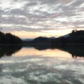 连州大山新鲜中草药材