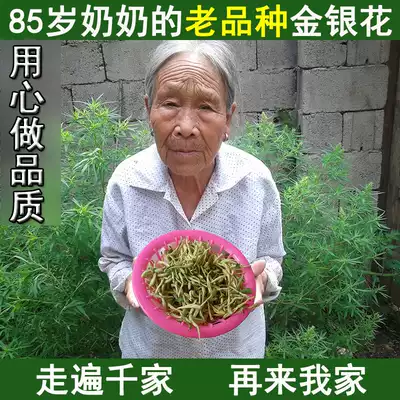 Honeysuckle super-dried heat-clearing fire under fire tea baby bathing authentic wild natural drying honeysuckle tea