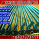 Screw hoist feeder Dragon Screw conveyor Grain suction machine Corn Wheat grain bagging machine