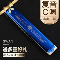 Temple Yin -Step Victoring Blue [Подарки с полным набором подарков]