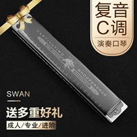 Фонд Зала Храма Шаг Черный [Отправить полный набор подарков]