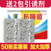 Sticking fly paper to catch the fly kill the fly killing artifact sticky fly board medicine strong home sweep 2 pieces 100 pieces