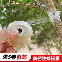 Grafting film winding Film self-adhesive non-disassembly without knotting sapling fruit tree transparent plastic film grafting knife grafting device