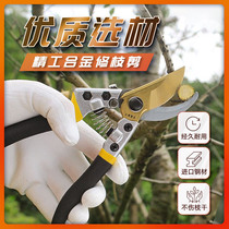 Garden scissors pruning shears Fruit tree pruning artifact gardening pruning branches strong scissors household labor-saving Peeler