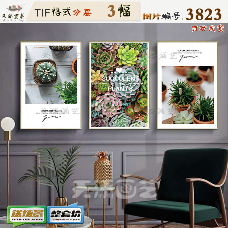 Modern plant flower decoration painting material Multi-meat plant painting core No frame picture picture