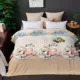 Mùa đông đơn giản san hô lông cừu tấm đơn mảnh cộng với nhung dày flannel đệm đơn pad duy nhất đôi chăn sang trọng mẫu ga phủ giường