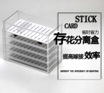 Oulongji grafted eyelash flowering flower storage box Scale Camellia eyelash storage box flower storage box