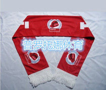 Article 10 Bookings Factory Thermal Transfer Fans Scarf World Cup fans scarf Corporate Gift scarves promotion