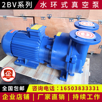 Zibo Boshan 2BV water ring vacuum pump High vacuum pumping water circulation industrial vacuum pump compressor