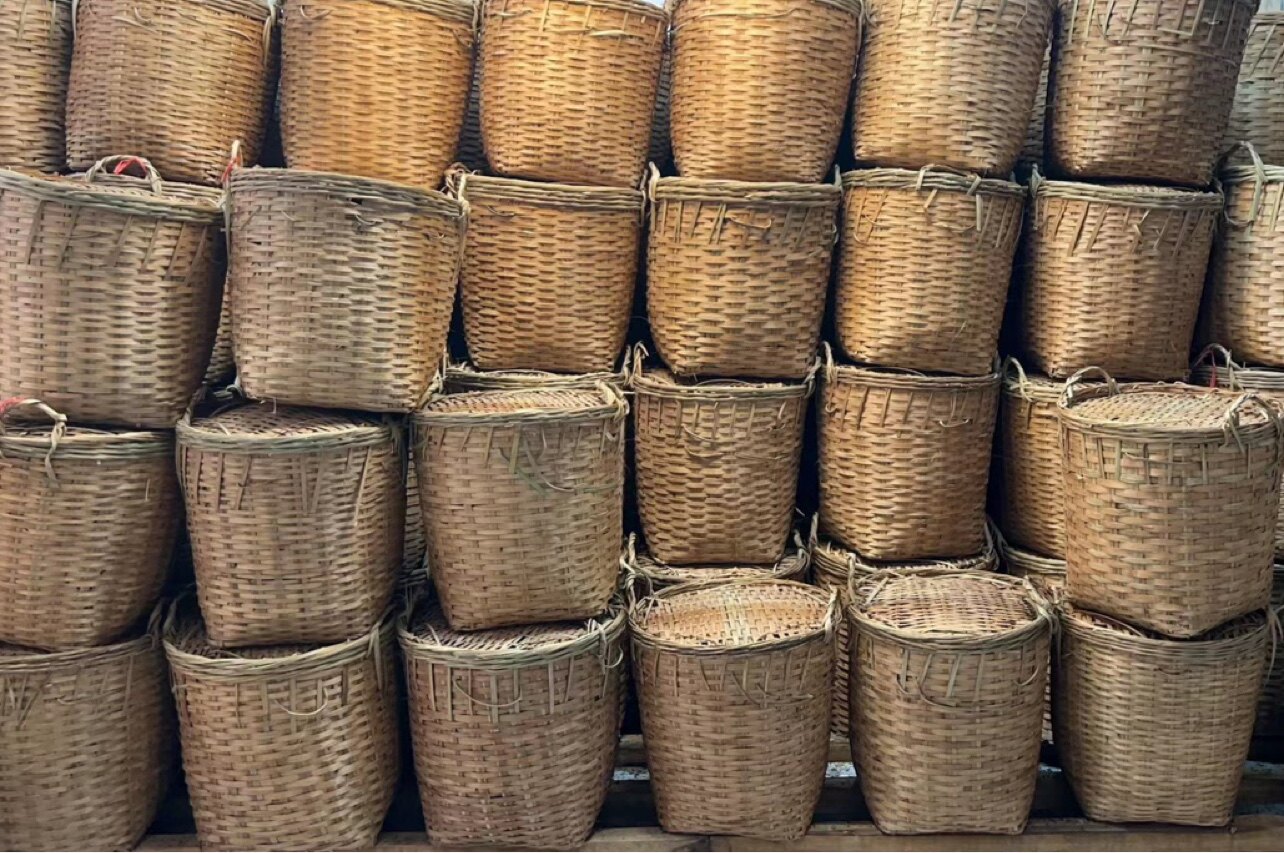六堡茶批发