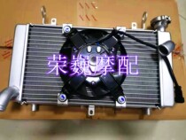 Rongwei Motorcycle accessories Jin Peng 502 Jin 502X 502X trk502 BJ500gs-a BJ500gs-a tank assembly