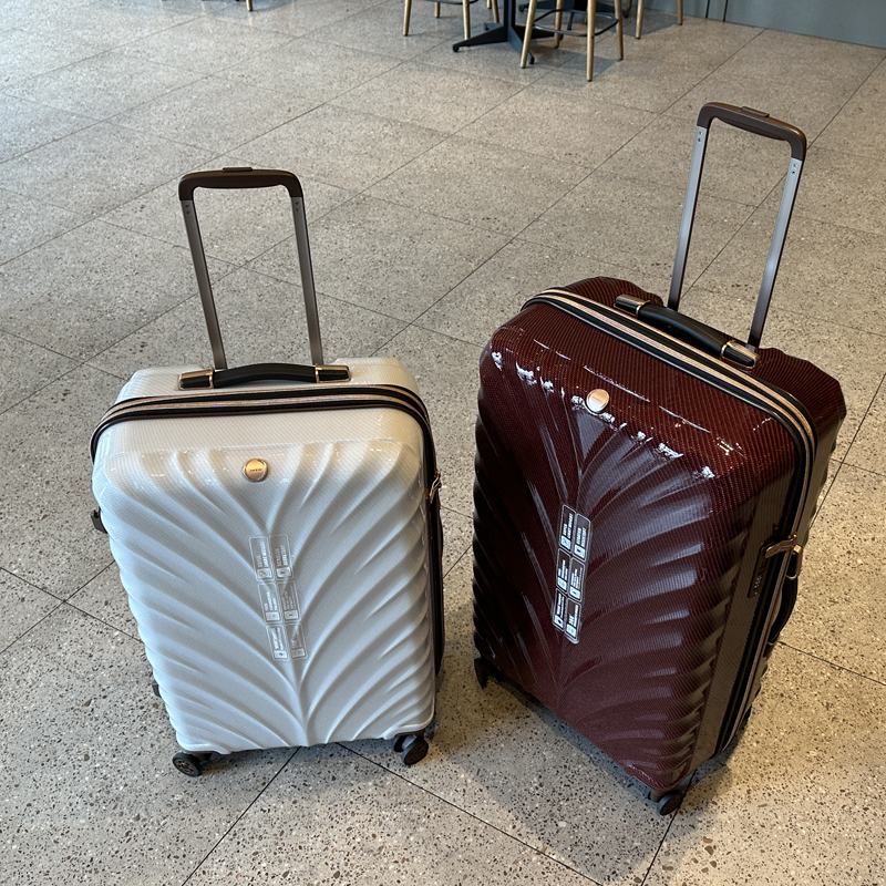 20inch Only Weighs 1.9kg, Exported to Japan, Ultra-Light Carbon Fiber Pattern Trolley Case, Scratch-Resistant Travel Suitcase, Expandable Luggage Bag