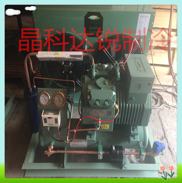 5HP Bizer Unit Air-cooled Condensing Unit Bizer Semi-Closed Refrigerated Depot Unit Compressor Cryogenic Unit